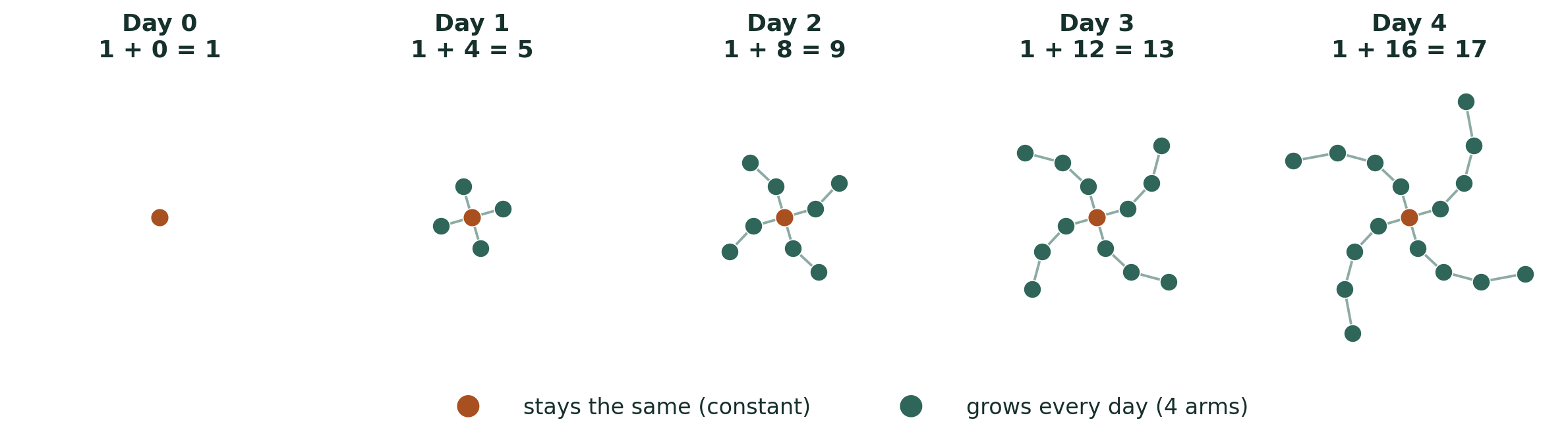 Five stages of a dot pattern, Day 0 to Day 4. One orange dot stays at the centre the whole time. Four teal arms grow one dot longer each day, so the totals run 1, 5, 9, 13 and 17.